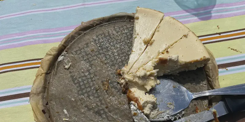 Cheesecake crémeux citronné d'Aurel 🍋